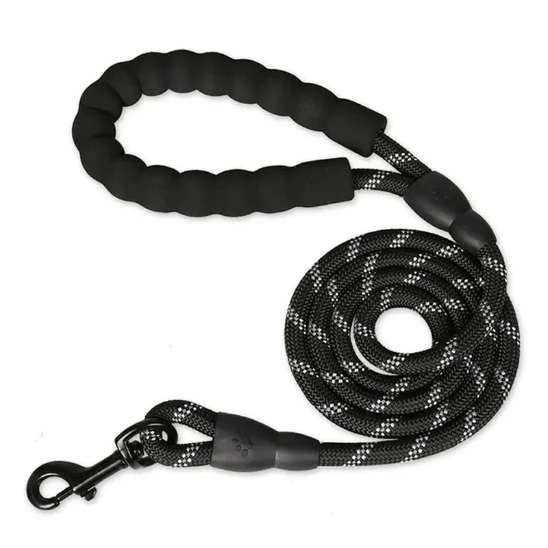Training Leash