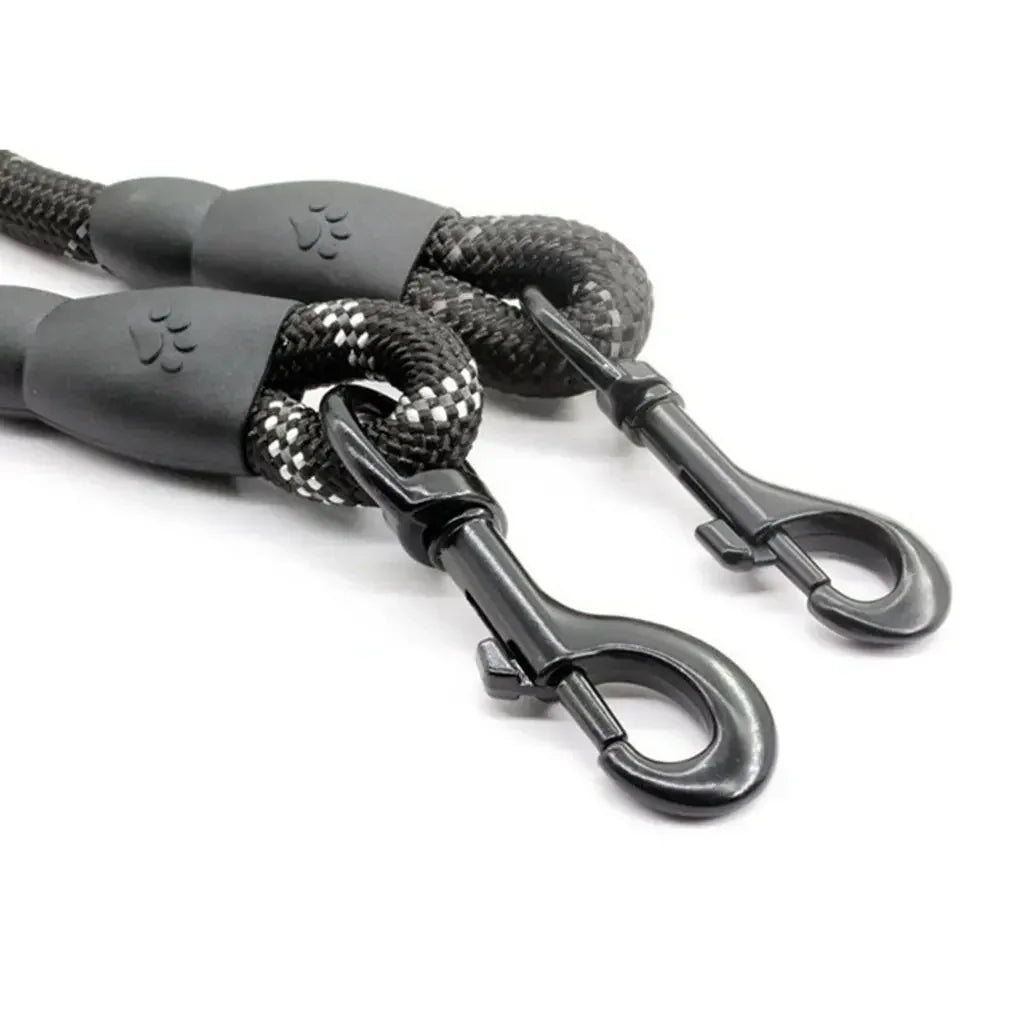 Training Leash