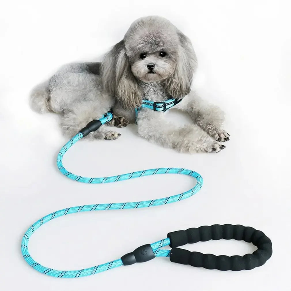 Training Leash
