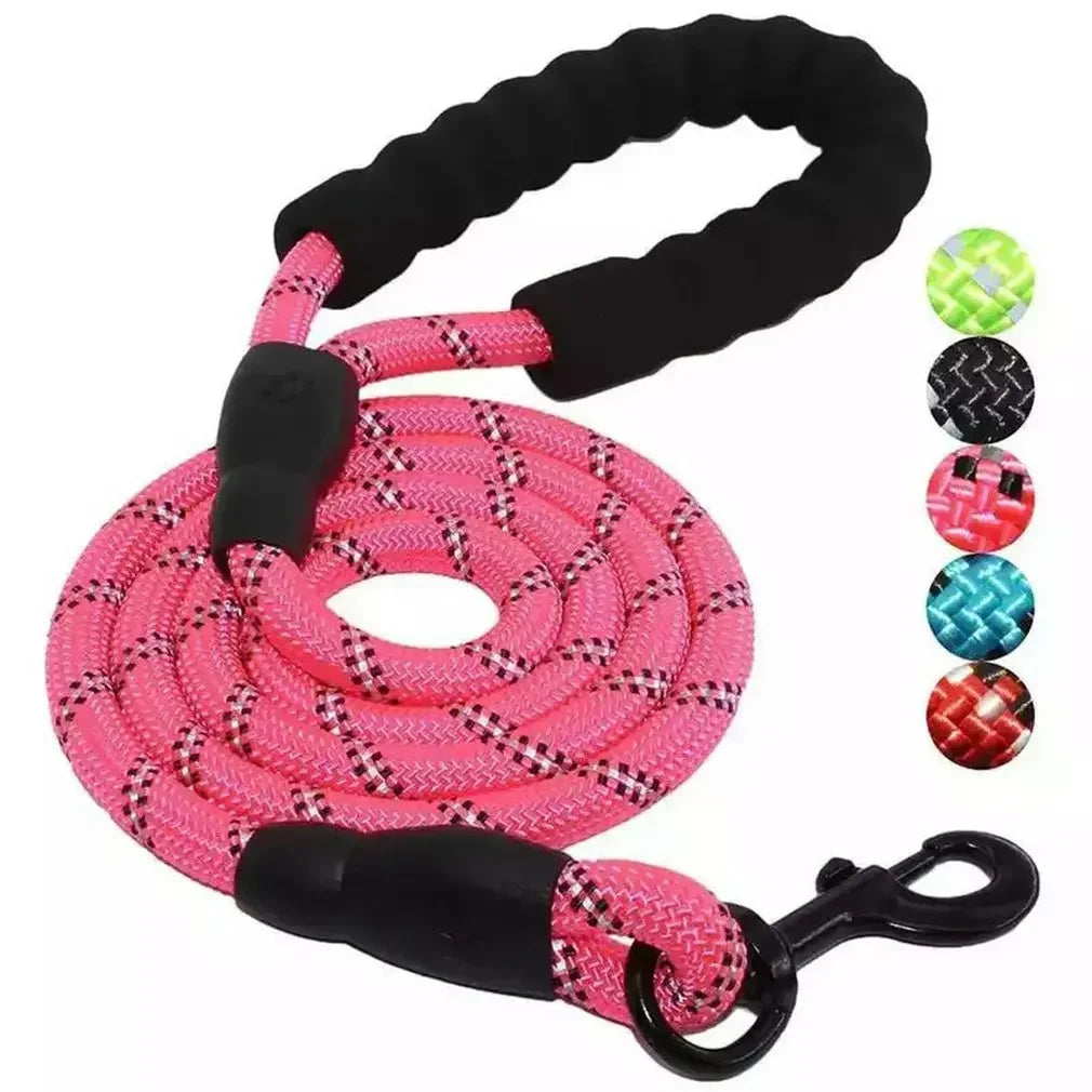 Training Leash