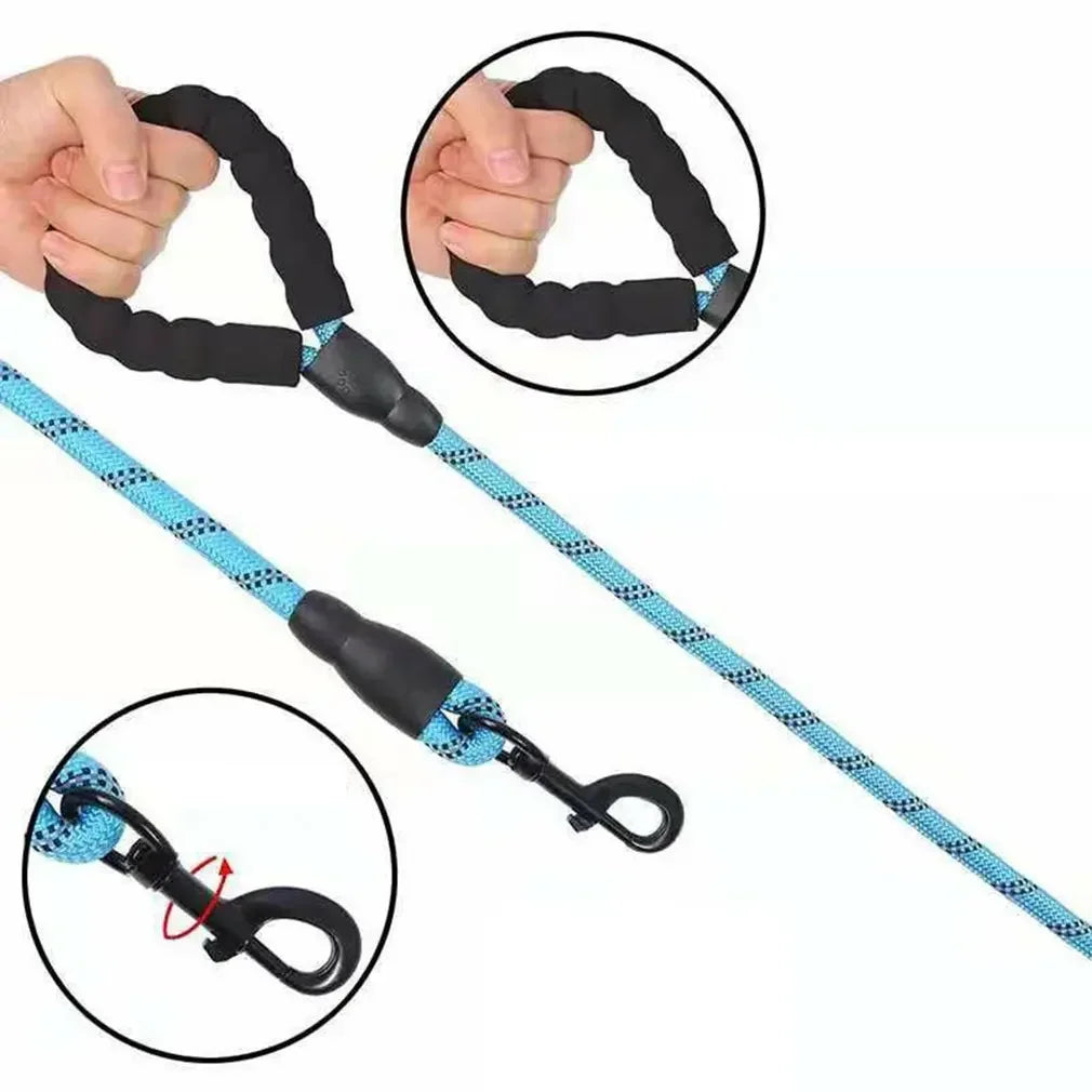 Training Leash