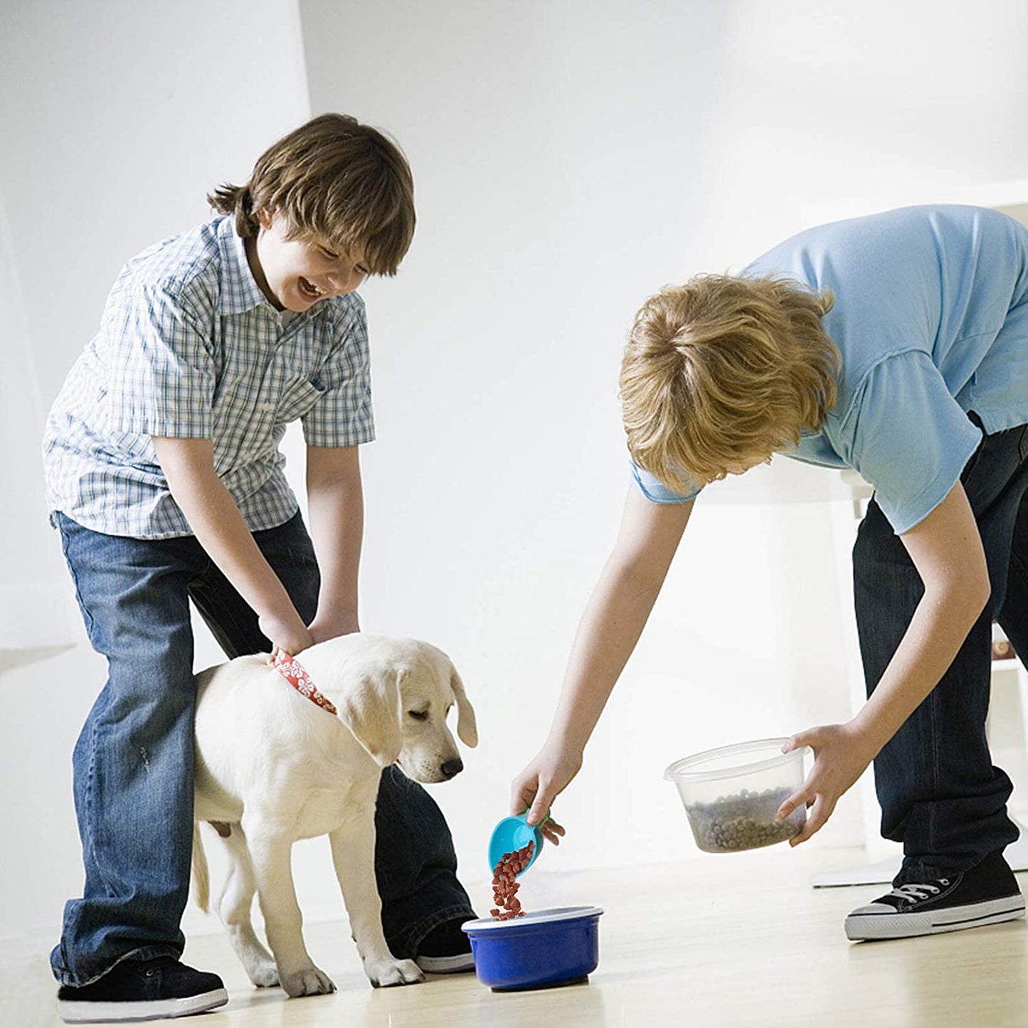Dog Food Scoop