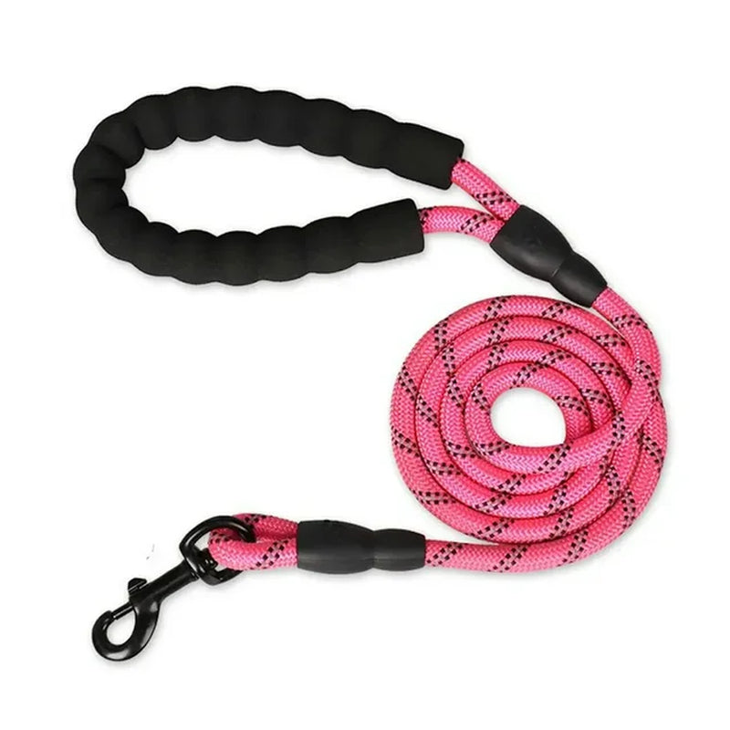 Training Leash