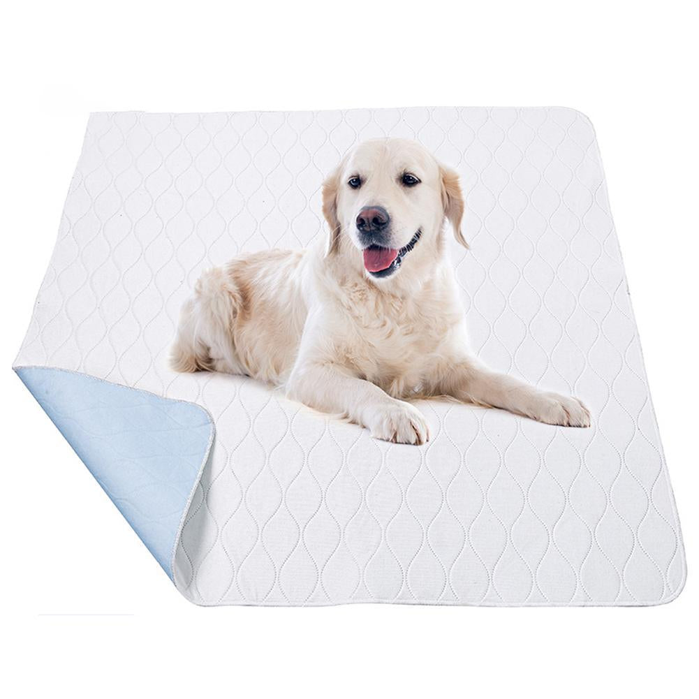Washable Pet Diaper
