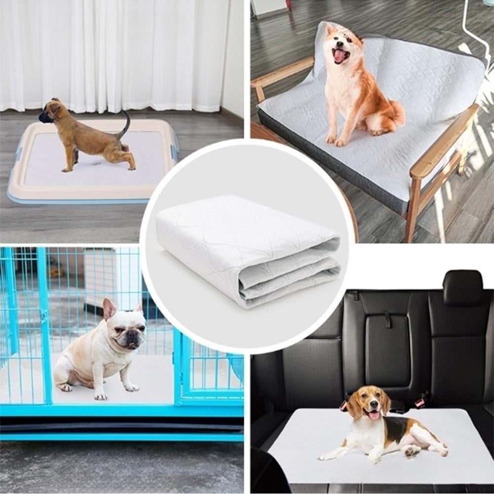 Washable Pet Diaper