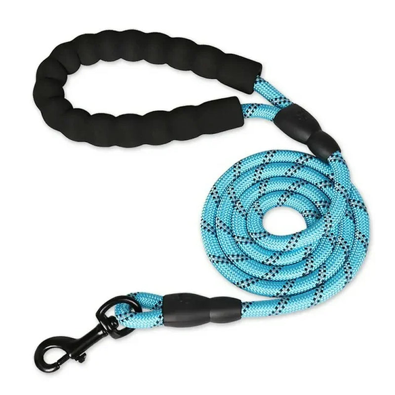 Training Leash