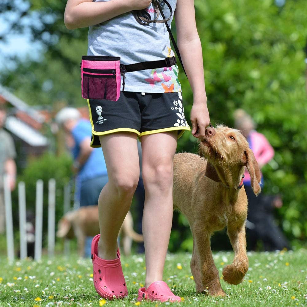 Dog Training Treat Pouch 2 