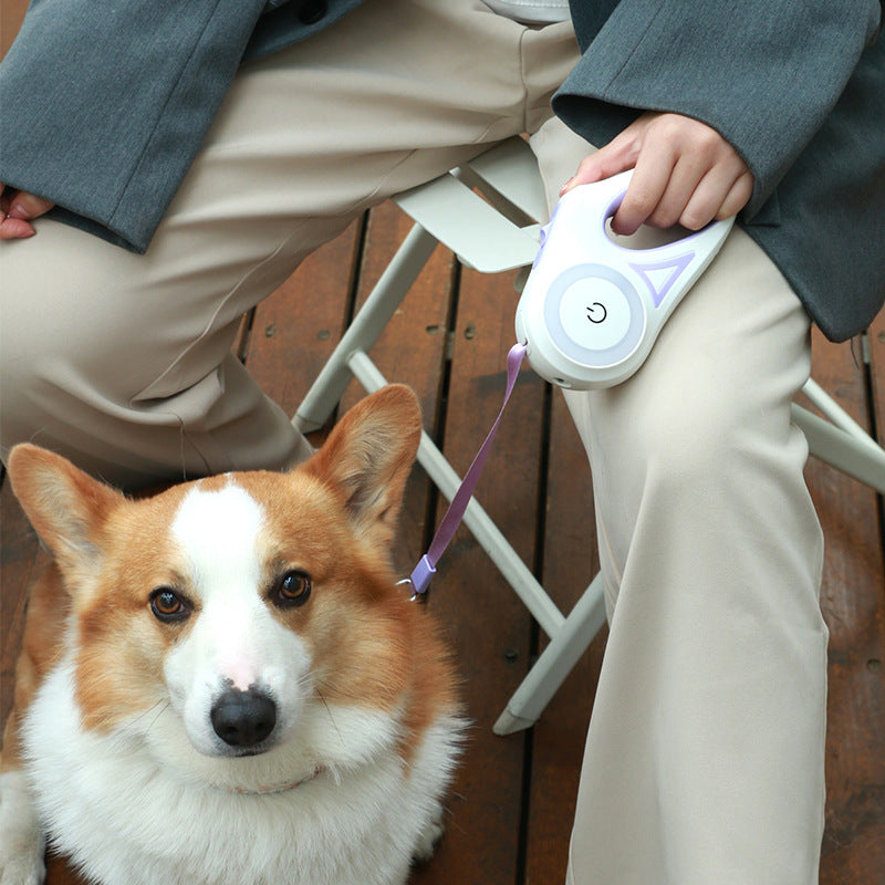 Color & Ligth Retractable Leash